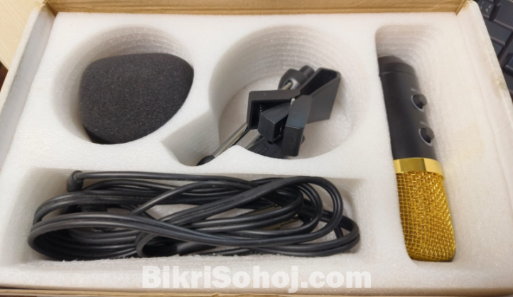 BM100 Condenser Microphone  Audio Record Microphone